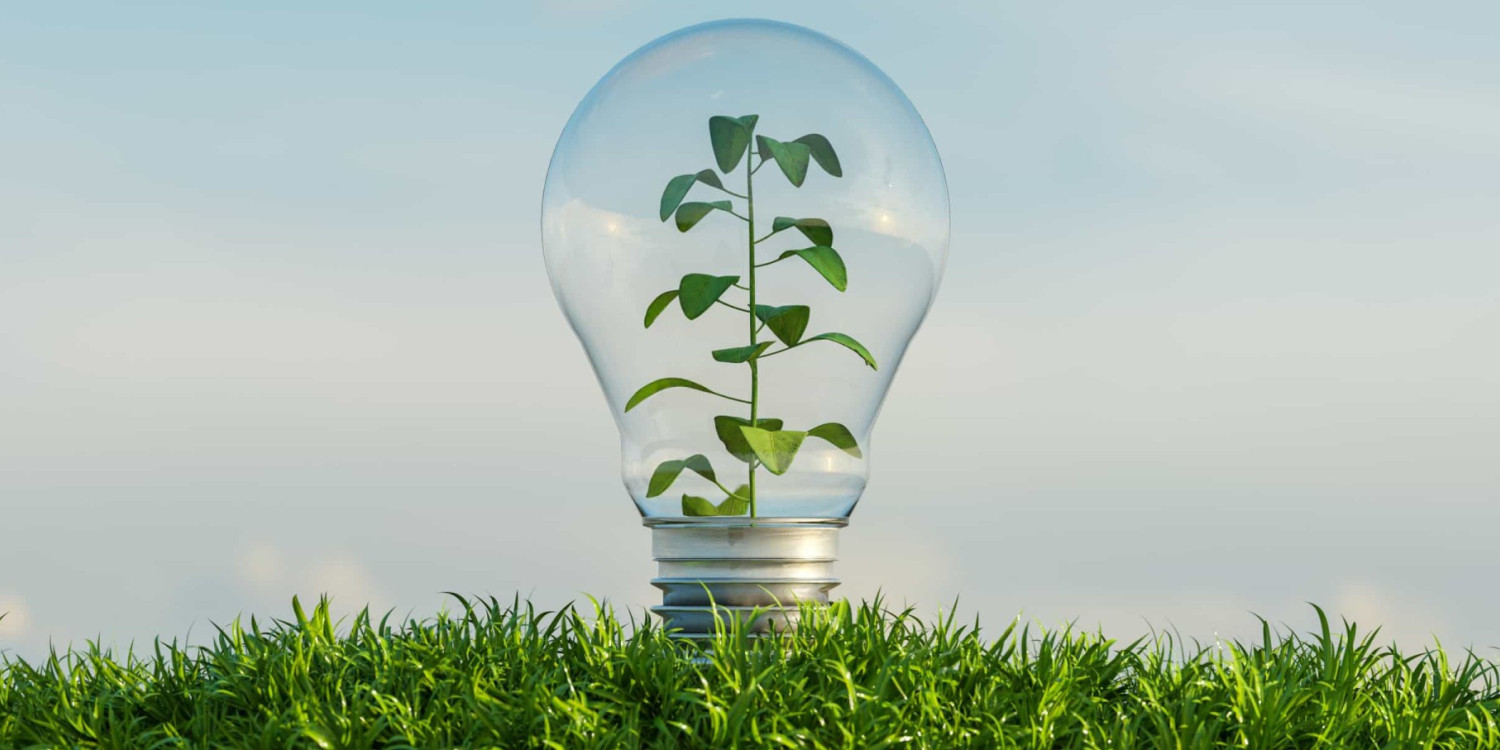 ADENE e Universidade Eduardo Mondlane aceleram transição energética em Moçambique