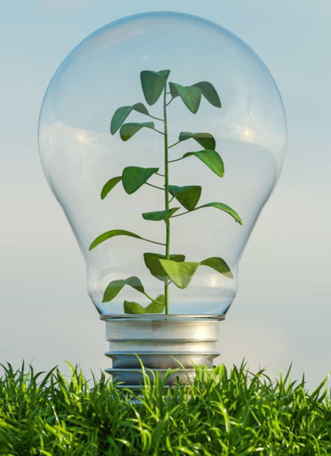 ADENE e Universidade Eduardo Mondlane aceleram transição energética em Moçambique