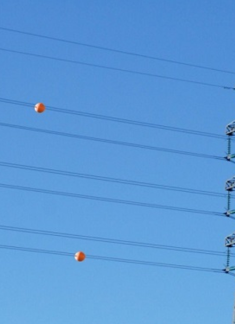 &ldquo;Temos de estar preparados para viver 15 dias sem energia&rdquo;, alerta especialista