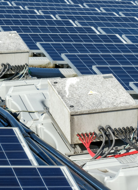 Como vai funcionar o plano para &ldquo;acelerar&rdquo; energia e&oacute;lica e solar em Portugal?