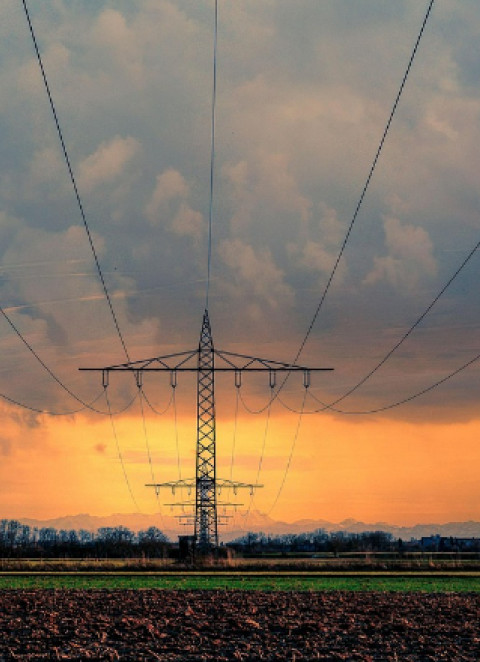 Gra&ccedil;a Carvalho: Portugal tem sistema el&eacute;trico mais protegido do que Espanha