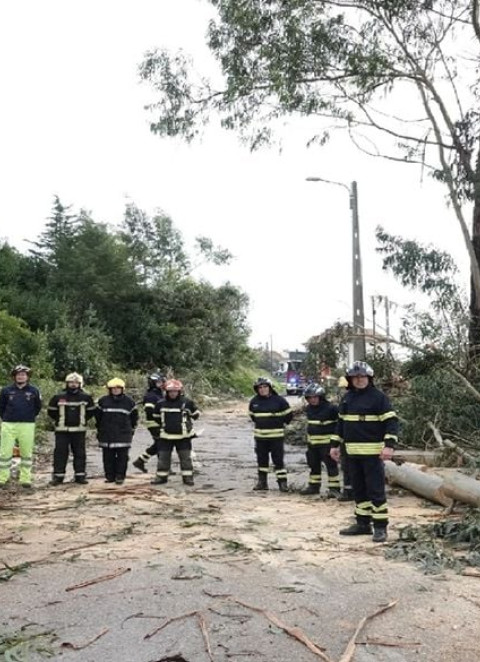 Ap&oacute;s as tempestades, Portugal prepara um plano de energia e comunica&ccedil;&otilde;es para este inverno
