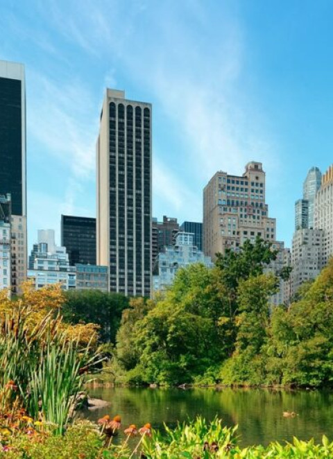 Climate Week arranca com energia no centro da agenda clim&aacute;tica global