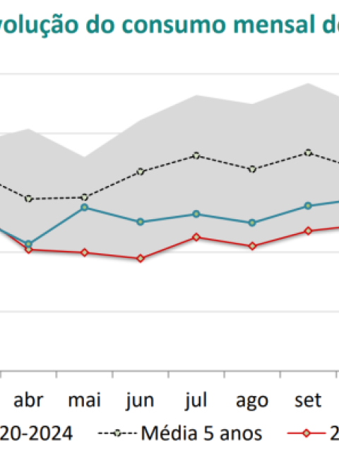 Pre&ccedil;os da energia a escalar? Consumo de g&aacute;s natural subiu 11% no pa&iacute;s