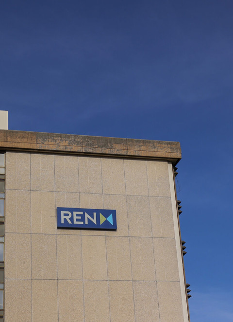 Reentrada do Estado na REN vai cortar pre&ccedil;os da energia? Especialistas discordam e pedem debate sobre estrat&eacute;gia