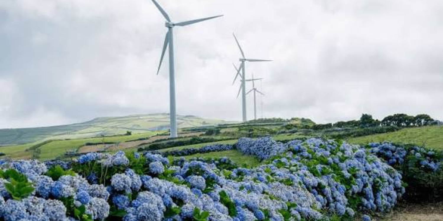 Portugal lidera no uso de energias renováveis para arrefecimento