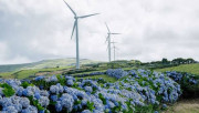Portugal lidera no uso de energias renov&aacute;veis para arrefecimento