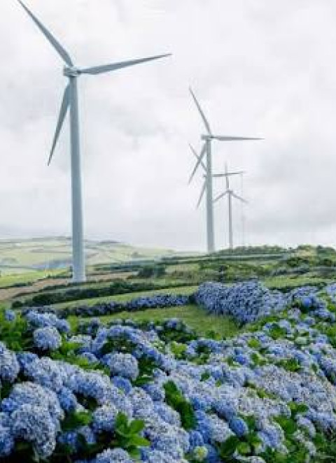Portugal lidera no uso de energias renov&aacute;veis para arrefecimento