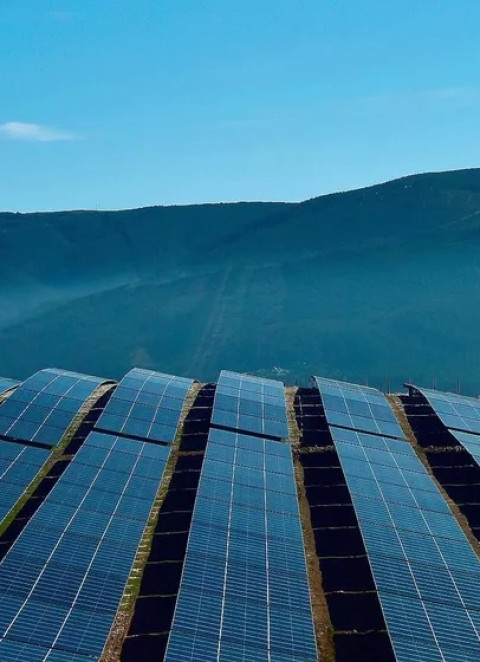 Dona da maior central solar do pa&iacute;s entra em insolv&ecirc;ncia