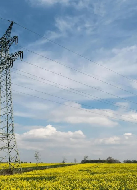 Mundo vai precisar de mais 23% de energia at&eacute; 2050