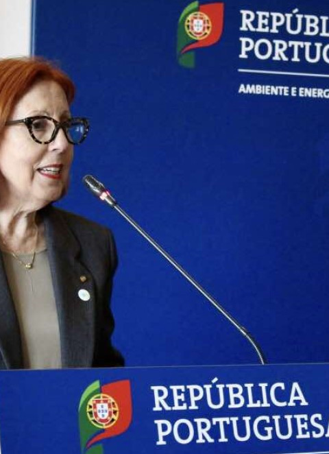 Governo canaliza 257 milhões de euros em apoios à transição energética e climática