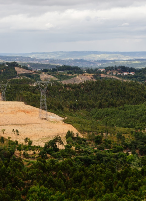 Consumo di&aacute;rio de energia bate recorde hist&oacute;rico