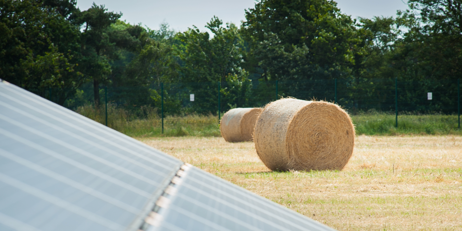 Solar + Agricultura: como os projetos agrivoltaicos apoiam os agricultores e a economia rural?