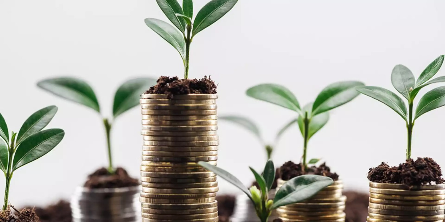 Agência para o Clima mobiliza 55,2 milhões de euros para mobilidade verde e energia